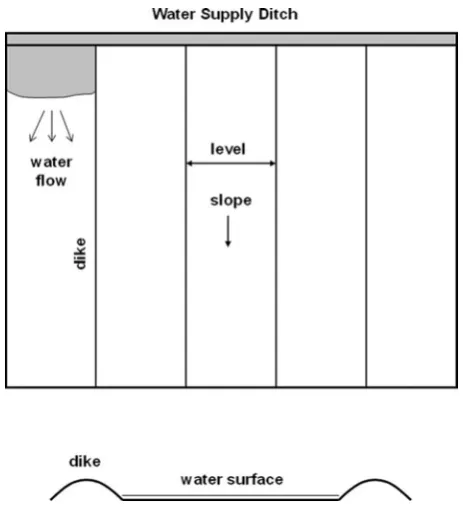 Figure 3Schematic diagram of a border irrigated field when a uniform sheet of water flows between dikes.