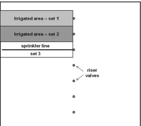 Figure 4Schematic diagram of a set-move irrigated field where the irrigation system is moved to the adjacent area after completing an irrigation set.