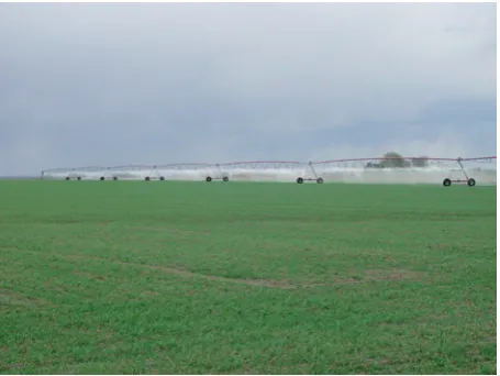 Figure 5Center pivot irrigation system irrigating barley.