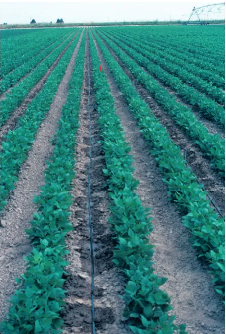 Table 2Typical advantages and disadvantages of irrigation systems