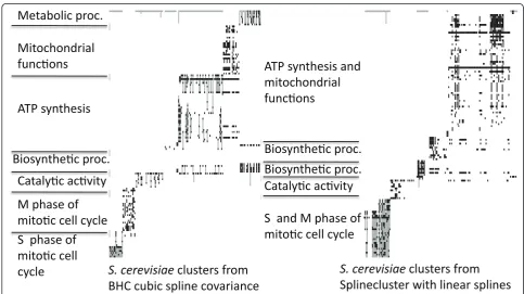 Figure 2 GO annotation matrices. Over-represented GO annotations, p < 0.01 for the BHC-C clusters left (BHI = 0.73) and the SplineClusterclusters using linear splines right (BHI = 0.69)