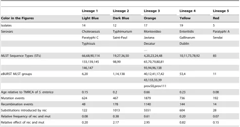 Table 1. Content of the lineages and results of the CLONALFRAME analysis.