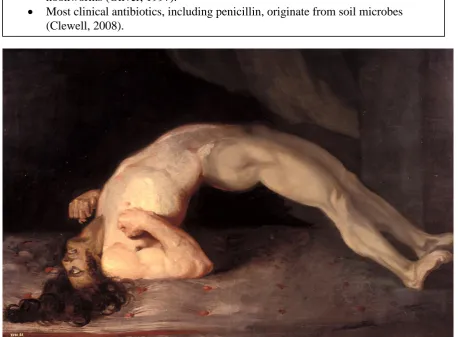 Figure 4.  Most soil microbes are beneficial for soil activity, or harmless to humans