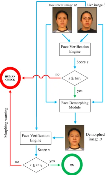 Figure 5. Functional schema of the face demorph-ing procedure at ABC gates.