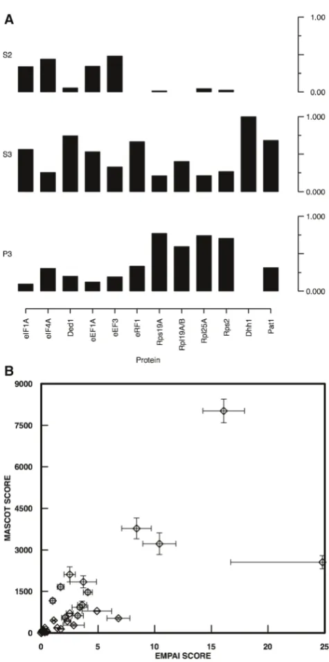 Figure 5. Estimating relative protein abundance in fractions using LC–ESI–MS. (A) Graphical representation of emPAI scores for proteinsassociated with ribosomes