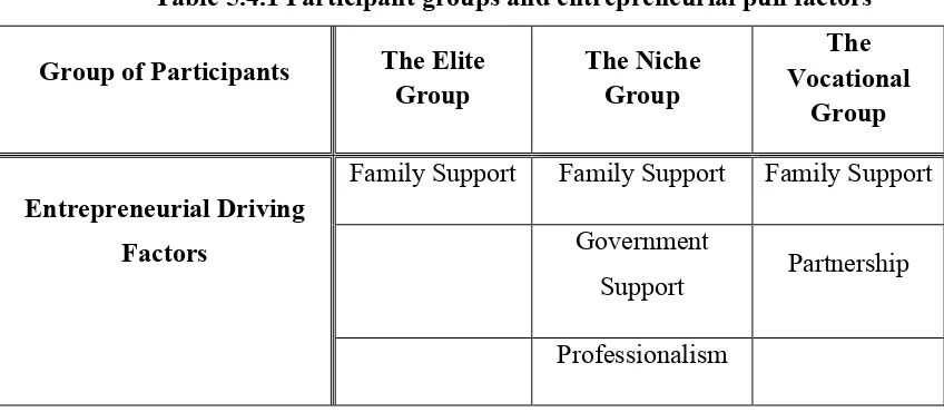 Table 5.4.1 Participant groups and entrepreneurial pull factors 