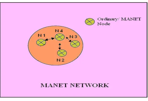 Figure 2. Showing the MANET Nodes within MANET Network  