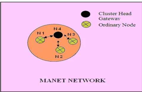 Figure 10. Showing the Cluster Head Gateway with Ordinary/ MANETN Nodes within MANET Network