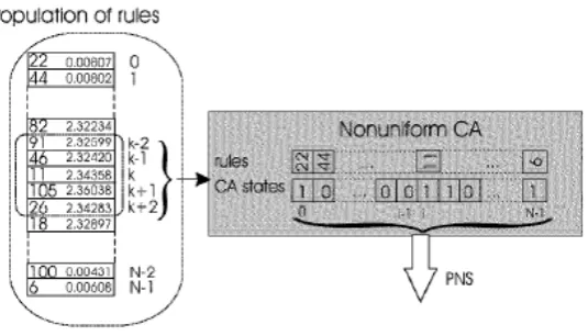 Fig. 2.  CP environment for evolution of rules of non-uniform CAs 