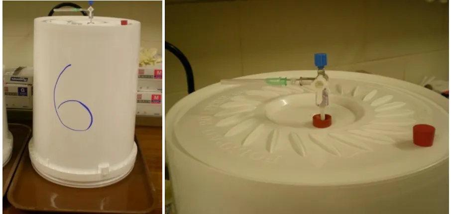 Figure 3.1 Gas collection chamber setup for nitrous oxide measurements (left). Gas collection valve and needles in top of chamber (right)