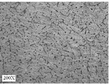 Figure 6: Clustering or agglomeration of Al2O3 observed in 7072 Al/Al2O3 (Vf = 30%) 