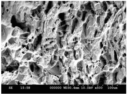Figure 16: SEM of fracture surface of heat-treated fatigue sample (Vf = 10%) 
