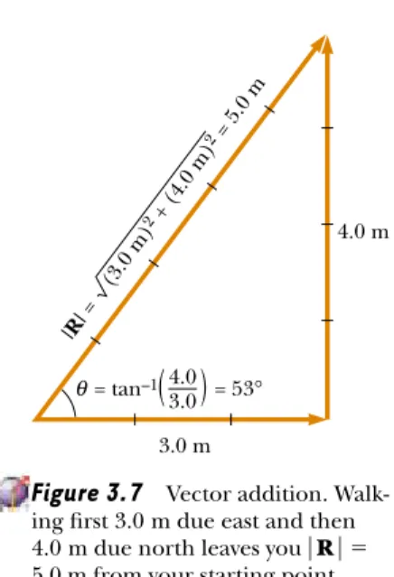 Figure 3.7 Vector addition. Walk- Walk-ing ﬁrst 3.0 m due east and then  4.0 m due north leaves you  5.0 m from your starting point.