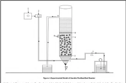 Table -1: Physical features and process parameters 