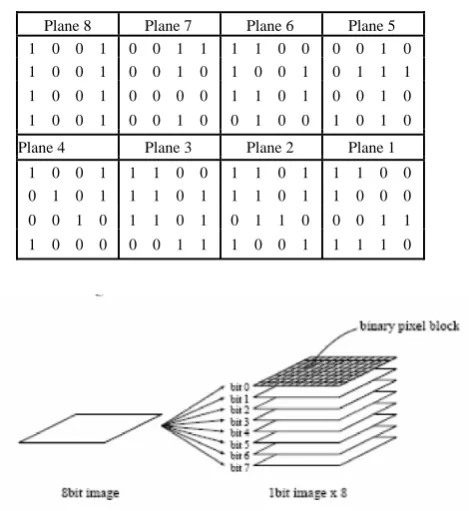 TABLE III. BINARY PLANES FORM R CHANNEL  