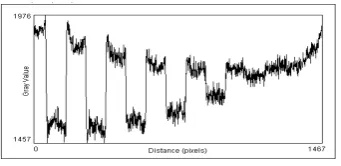 Fig.2.Gray value distribution along the X  axis 