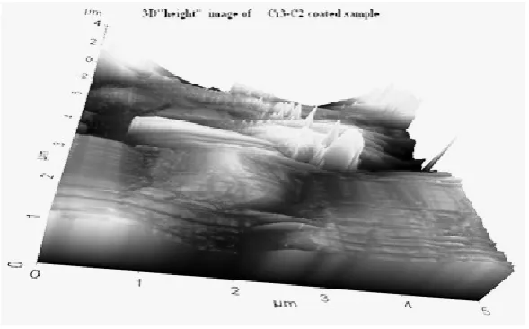 Figure -5  AFM  3-D “Height” Image of Cr3-C2 coated sample 