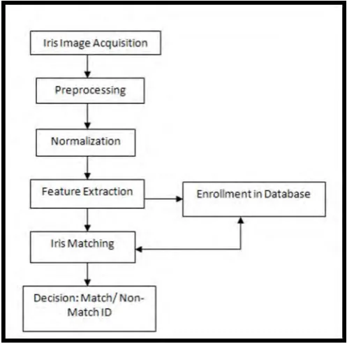 Fig. 2. Flow of iris recognition system  