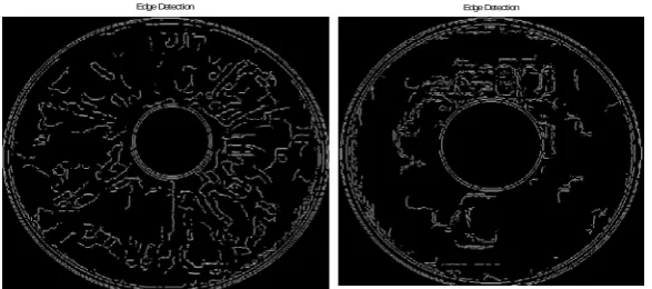 Fig. 5. Color image 