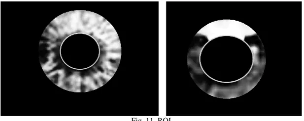 Fig. 10. Extract centre 