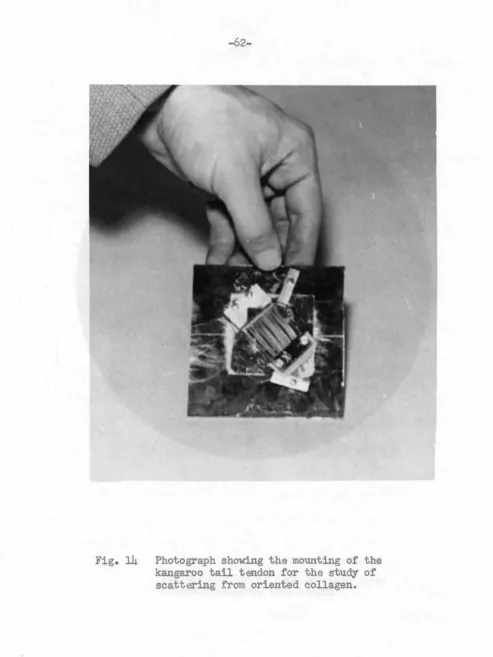 Fig. 14 