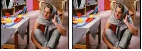 Fig 3 Lena (a) Cover image and (b) Stego image 