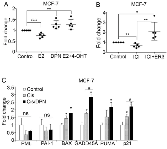 Figure 3: ER ligands modulate p53 function.  (A) Dot blot depicting the fold change of mRNA expression of p53 target genes in  MCF-7 cells following treatment with vehicle (Control) or the ER subtype-specific ligands 17β-estradiol (E2, 10 nM), Diarylpropio