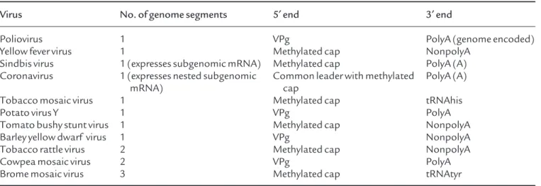 Table 15.1 Genomic structure of some positive-sense RNA viruses infecting eukaryotes.