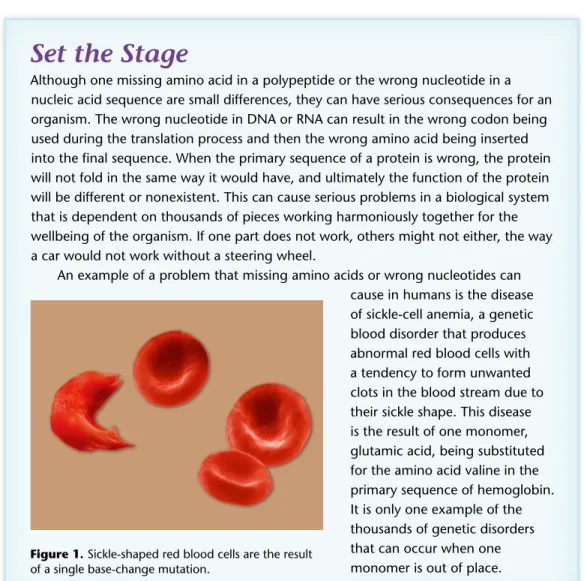 Figure 1. Sickle-shaped red blood cells are the result  of a single base-change mutation