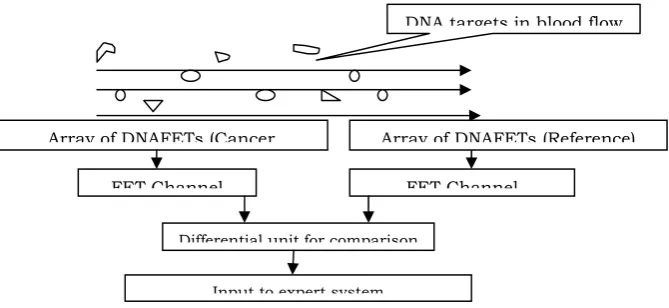 Figure 5 Cancer Cell Detection using DNAFETs (Biosensor)   