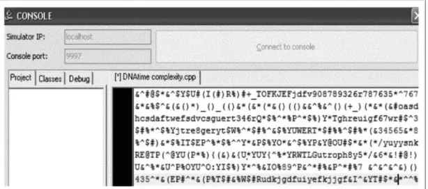 Figure 5   Console Input for Testing Computation Time