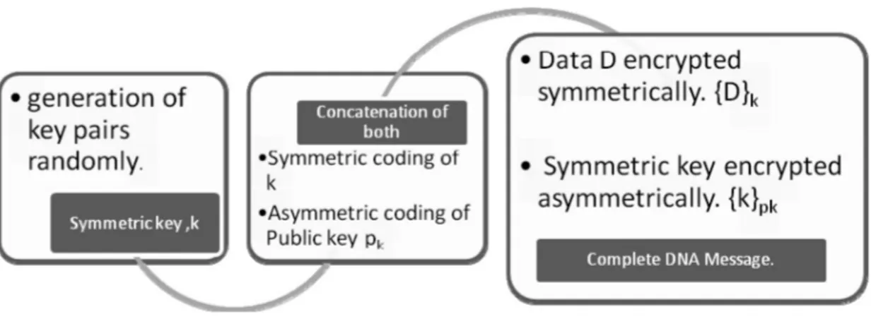 Figure 1   Complete DNA Encryption Process