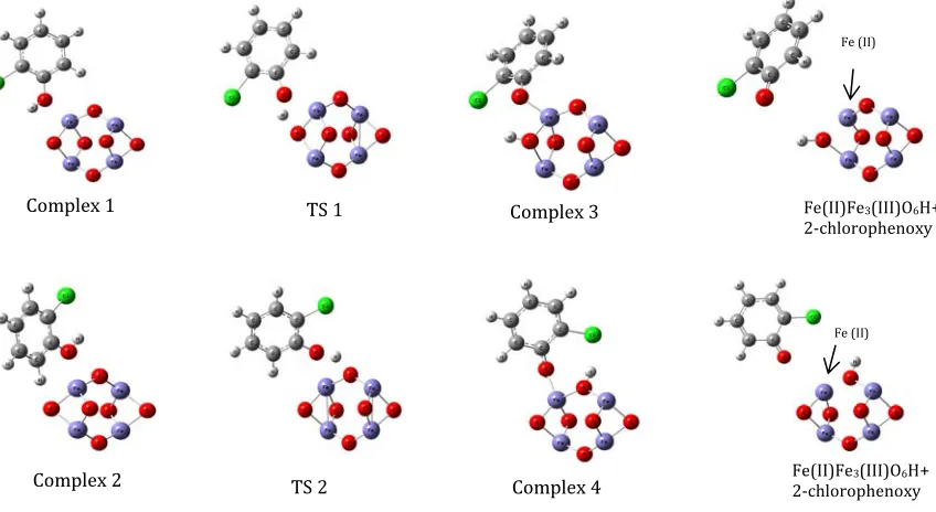 Figure 1. Optimised geometries of the complexes formed in reaction of 2-CP with Fe4O6 