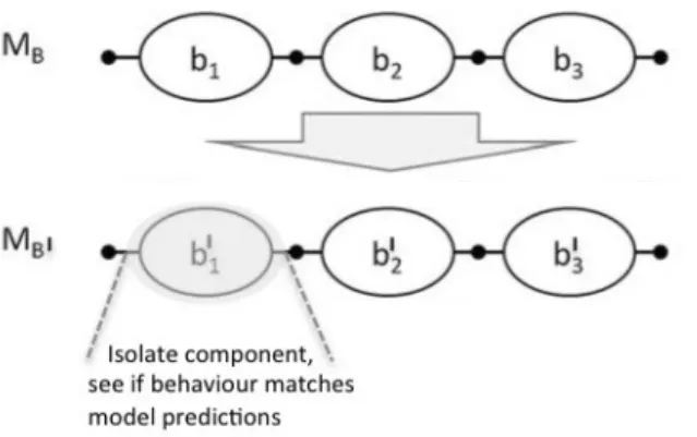 Figure 2 –Model of biological system and its experimental preparation
