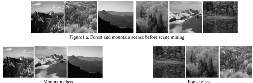 Figure 1.b. Mountain and forest scenes after scene mining 