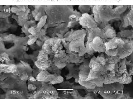 Figure 1: SEM image (200X) of SS316L before Coating 