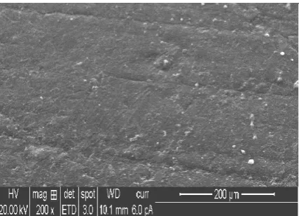 Figure 11: SEM image (200X) of PEEK before Coating 