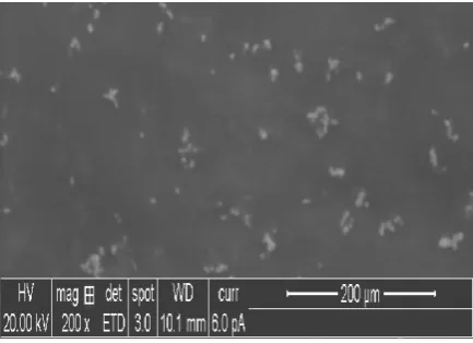 Figure 12: SEM image (200X) of Polyurethane, before Coating 