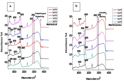 FIG. 9.  FTIR study, a) PEG assisted different structured ZnO nanomaterials attach to  bacteria, b) PEG assisted different structured ZnO nanomaterials attach to 