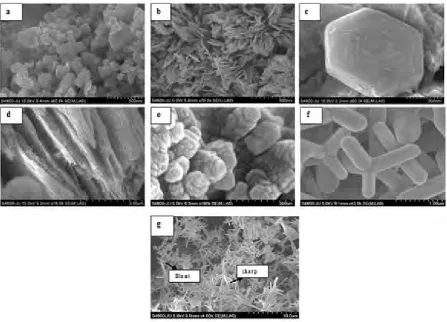 FIG. 5. FESEM micrograph, a) 1vol% PEG assisted ZnO nanomaterial shows cuboid like morphology with 5-100 nm width and 100-300 nm length, b) Hexagonal plate or sheet like morphology with 50 nm thickness after getting attach with 3vol% PEG, c) Assembled thin plate 
