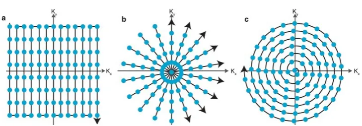 Figure 2.1: Examples of subsampling patterns, a. Cartesian, b. Radial, c. Spiral.