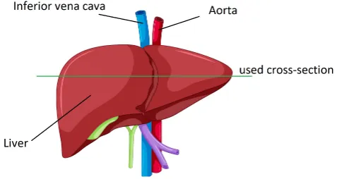 Figure 5.3: Experimental medical data sequence