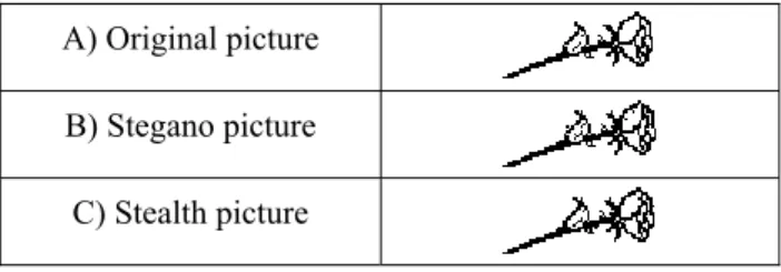 Figure 1. Hiding "Iran" message in an SMS  picture message [13] 