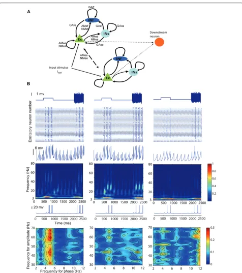 Figure 7 Neural network model and simulations showing effects of altering theta and gamma contributions on excitatory outputneuron and downstream neuron activity