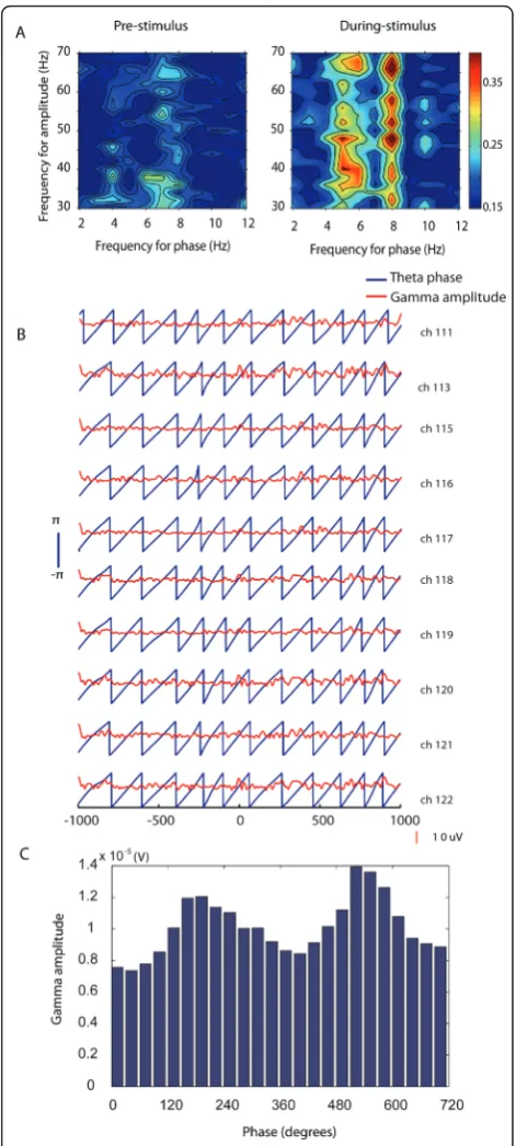Figure 1 Theta-gamma coupling in ITexample of coupling between theta phase and gamma amplitudetaken from Sheep B (session 110305-1, channel 3) for the pre-stimulus (left) and during-stimulus (right) periods before (left) andduring (right) presentation of a