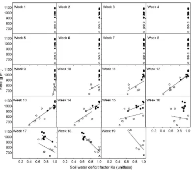 Fig. 7. Relationship between seasonal corn grain yield (dry-mass basis) and the soil water deﬁcit factor (Ks) during each week from crop emergence to physiological maturity(black-layer) obtained at North Platte, NE, during 2005 (dark points) and 2006 (ligh