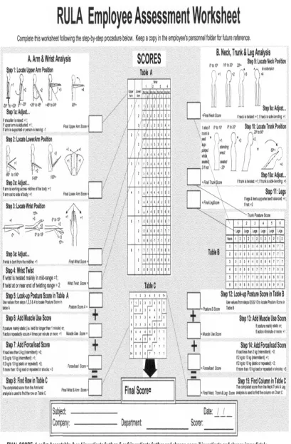 Figure 7 Employee Assessment Worksheet of RULA  
