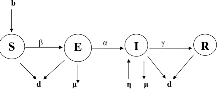 Figure 1: Schematic diagram for the flow of malicious codes in computer network. The transmission between model classes can be expressed by the following system of differential equations: