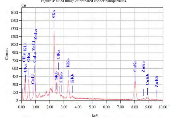 Figure 4: SEM image of prepared copper nanoparticles . 