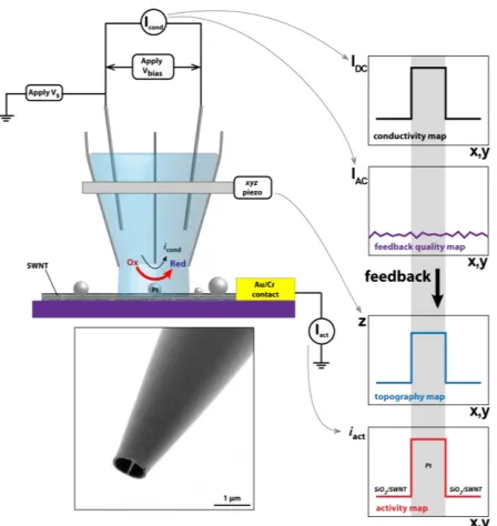 Figure 2 Schematic sketch of a scanning electrochemical cell micros-copy (SECCM) experiment